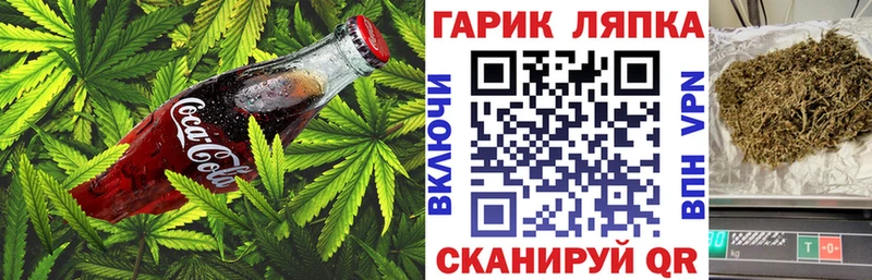 Купить закладки  Гудермес  Canna-Cookies конопля 