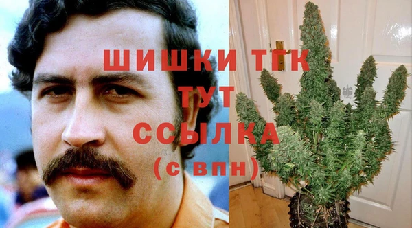 соль ск Инта