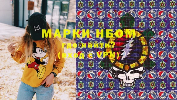 ALPHA PVP Иннополис