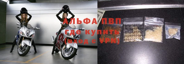 ALPHA PVP Иннополис